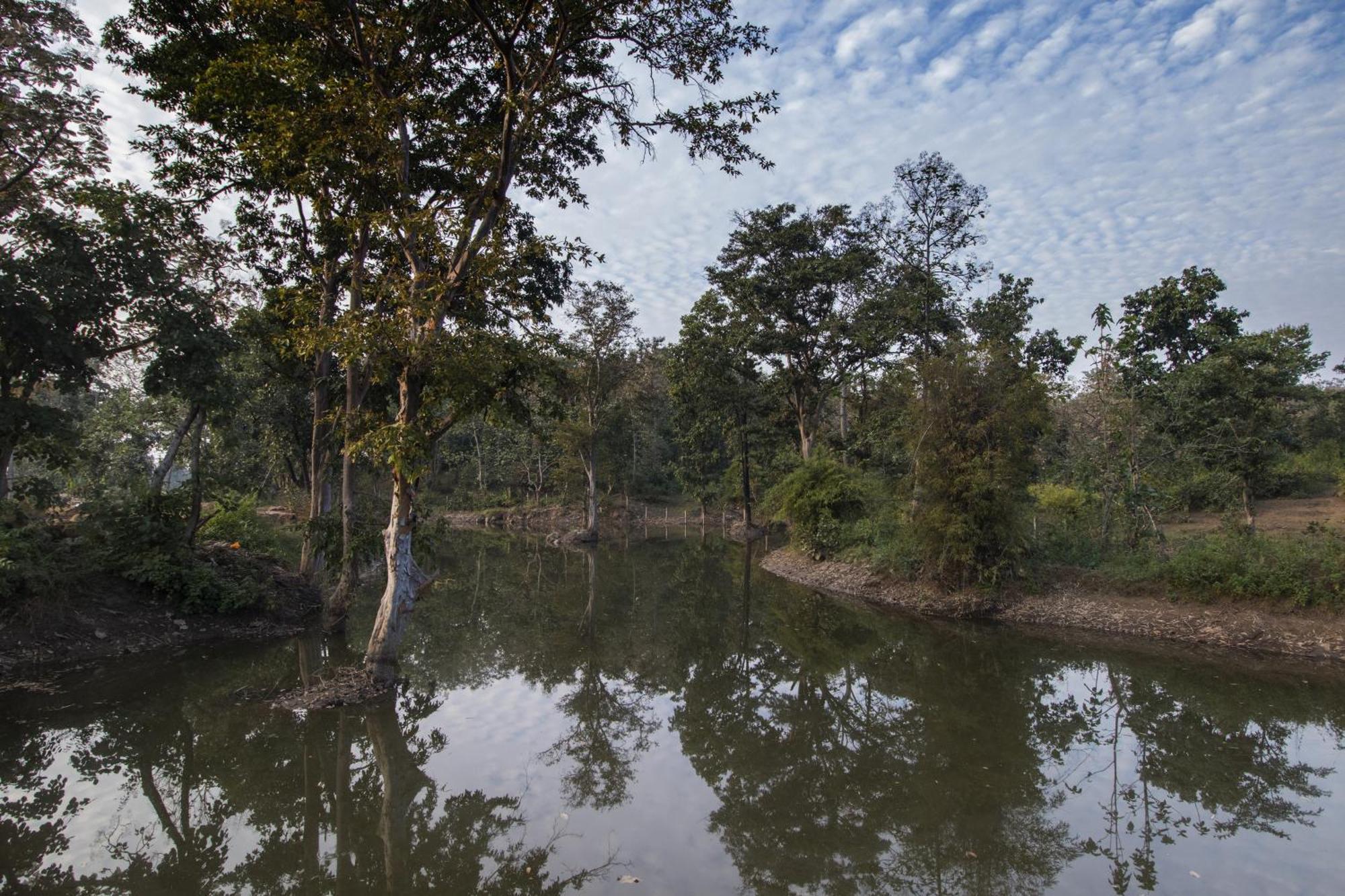 Wowstayz Pachmarhi Ecotel Ngoại thất bức ảnh